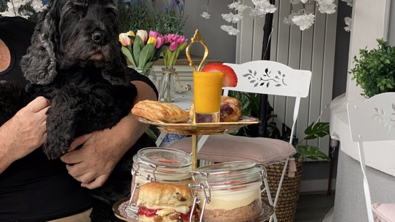 Dog-friendly afternoon tea at The Mayfield Hotel